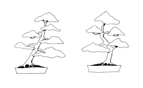 Bonsai Slanting Style, Bonsai Informal Upright Style Coloring Page